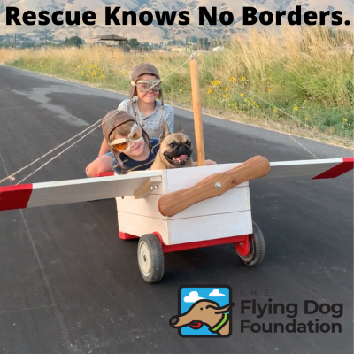 The Flying Dog Foundation
